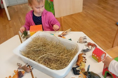 IMG_20260417_082856