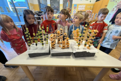 RACek-sadna-nabodala0006