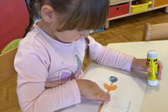 RACek-sadna-nabodala0011