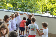 IMG_20250909_092607 IMG_20250909_092607